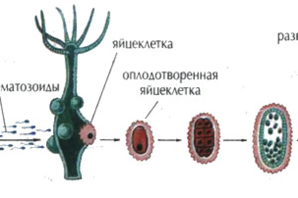 Кракен онион ссылки